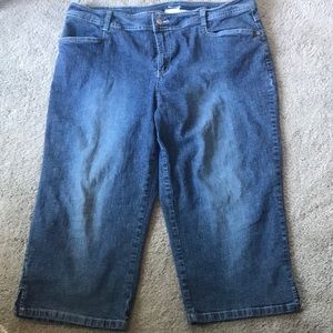 NWOT CROPPED Denim